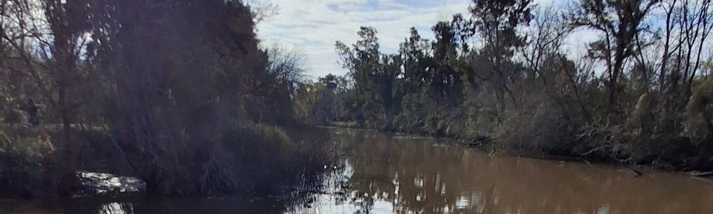 User banner image